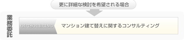 ̳