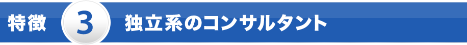 特徴 3 独立系のコンサルタント